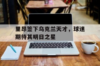 里昂签下乌克兰天才，球迷期待其明日之星的简单介绍